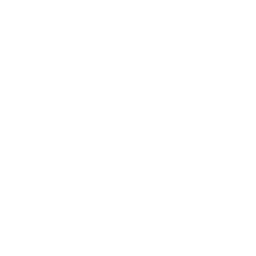 Express Entry Icon